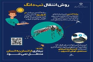 اطلاعیه:  هشدار جدی خطر پشه ائدس که باعث بیماری تب دنگی میشود